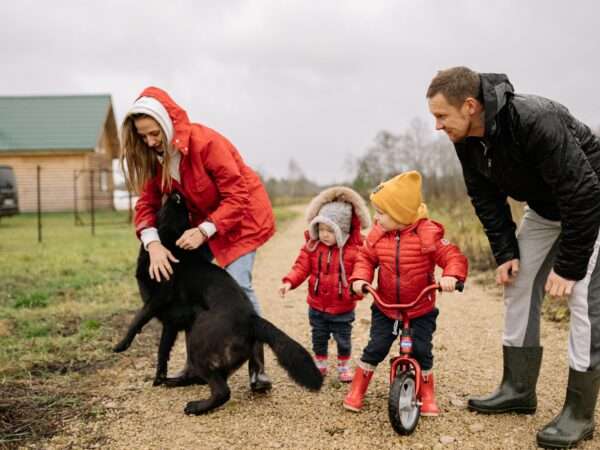 gutepfote hund familie GutePfote